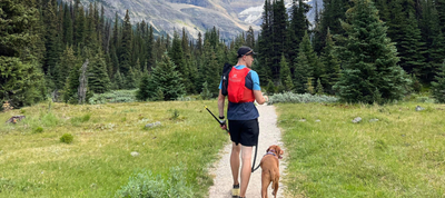 Trail Running with Dogs - Tips and Tricks with Athlete Evan Birch