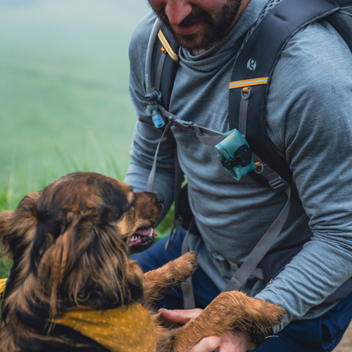 Water rover dog bowl 2025